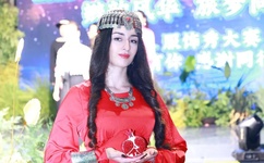 王贵与安娜下载